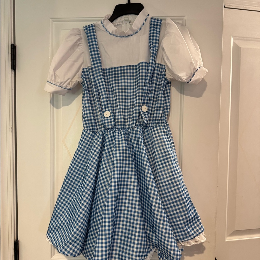 Wizard of Oz Dorothy Costume with red shoes and dog in basket